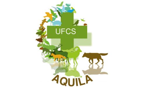 fastival_chaud_devant_aquila_horizontal